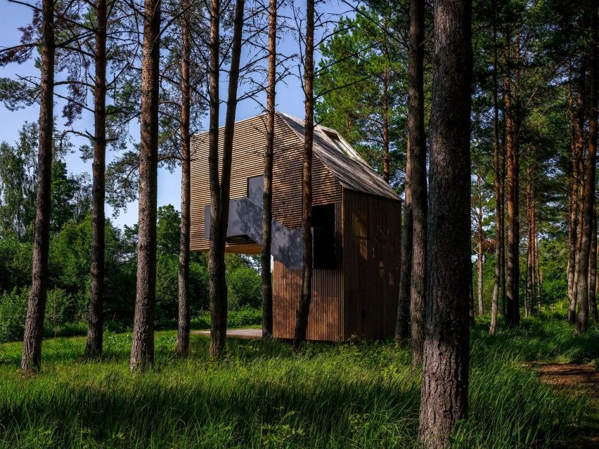 Piil treehouse in Estonian pine forest 
