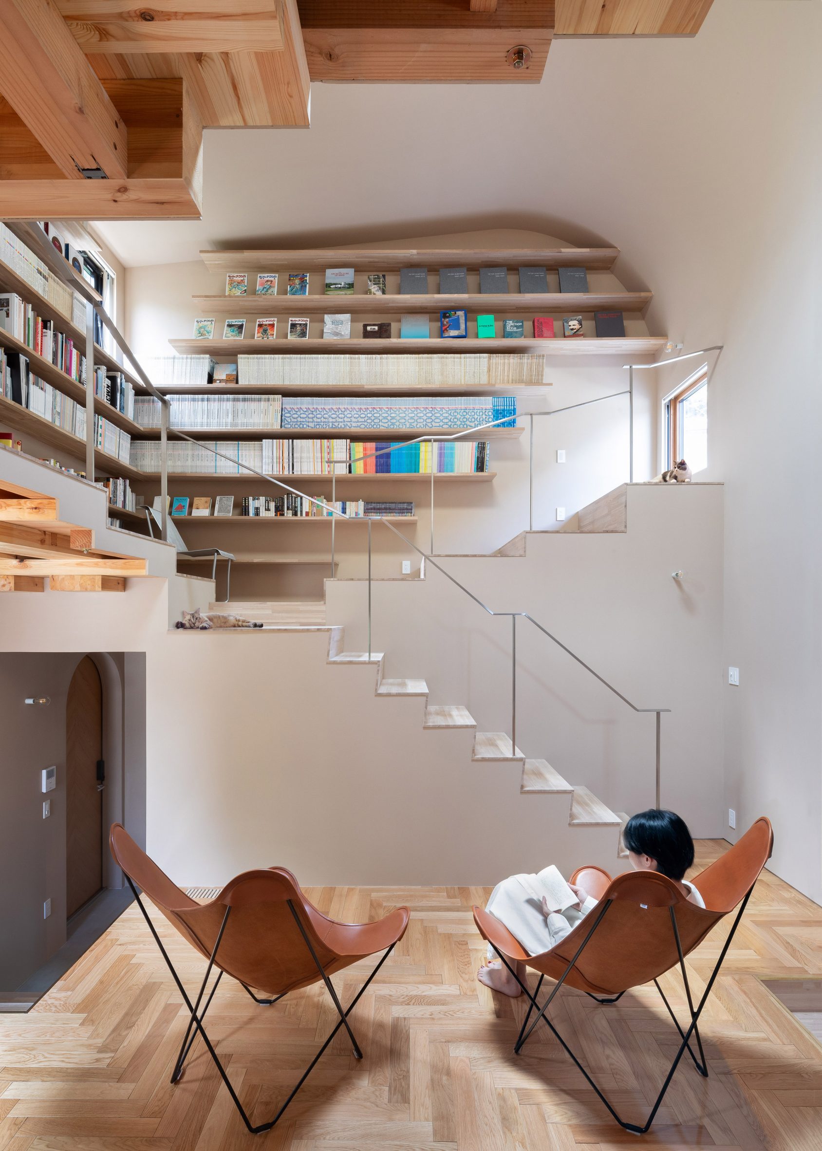 House designed for cats in Japan