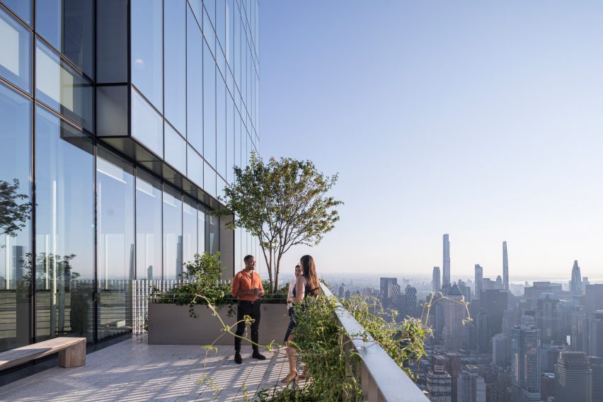 A tree on a terrace overlooking NYC