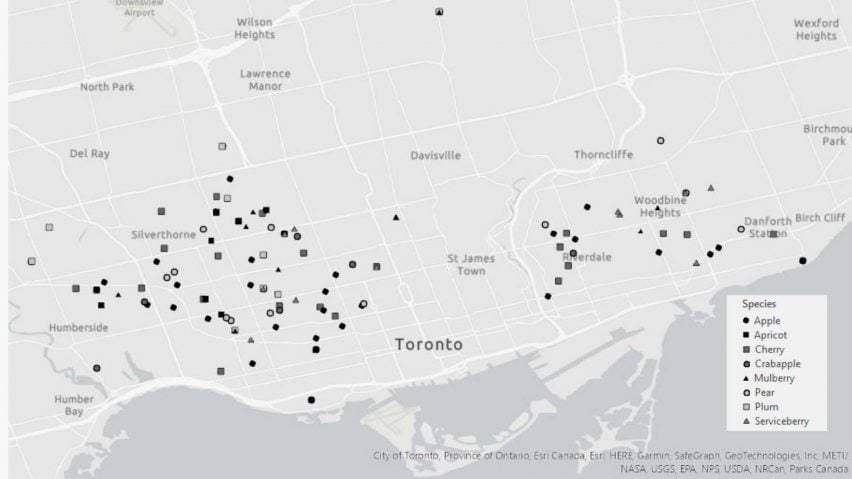Map showing locations of fruit trees in Toronto