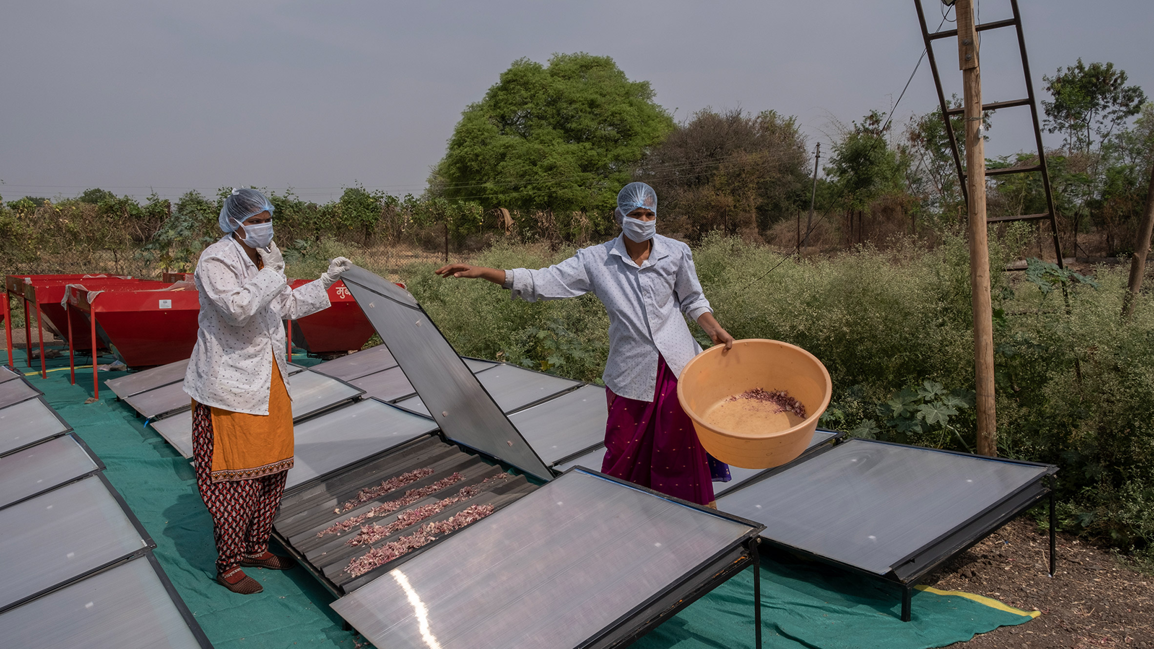 Women farmers using solar-powered conduction dryers by S4S Technologies