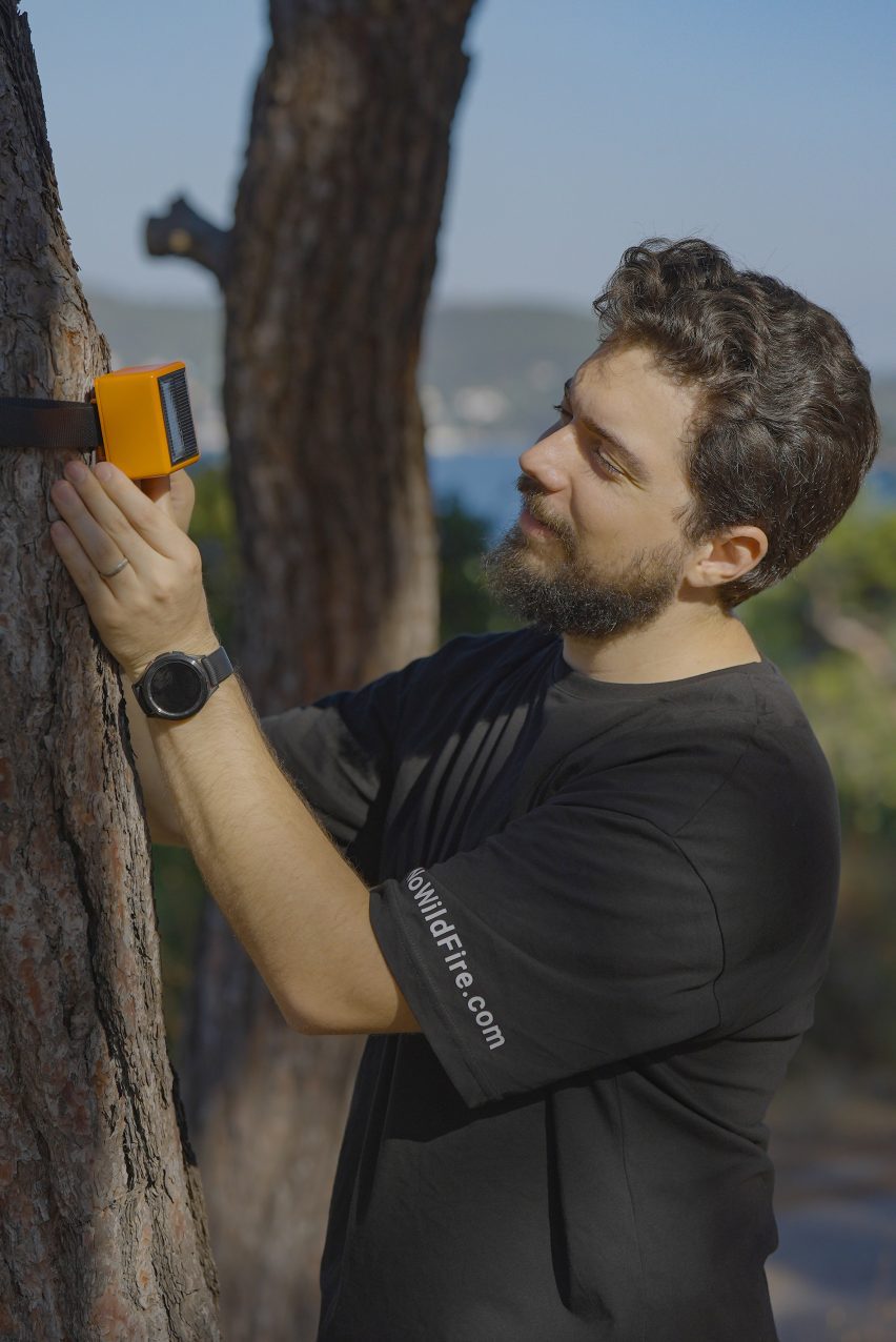 Photo of ForestGuard CTO Suat Batuhan Esirger handling a sensor device strapped to a tree trunk