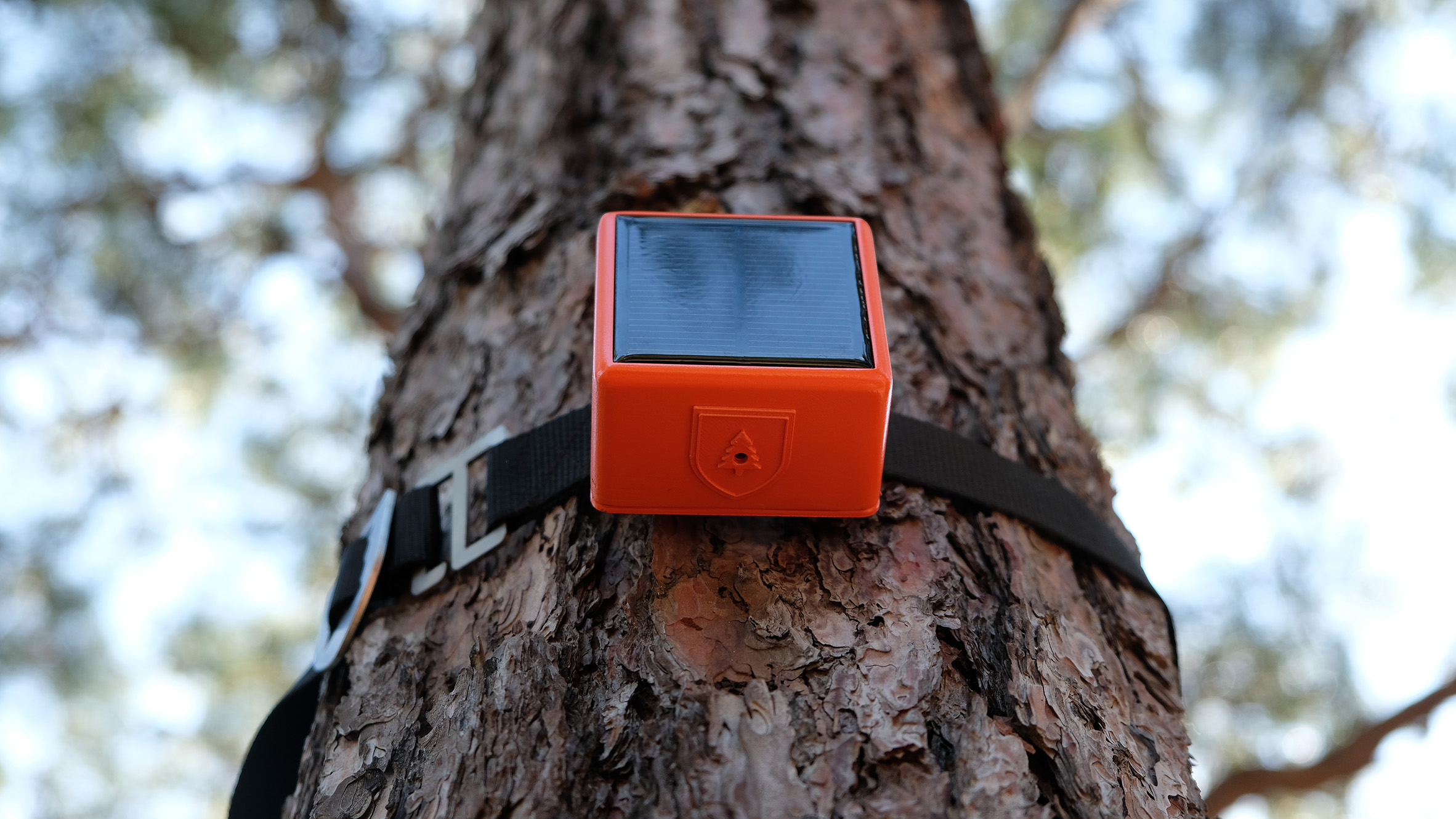 "Trees themselves" raise wildfire alarm in ForestGuard detection system - Vimarsana News