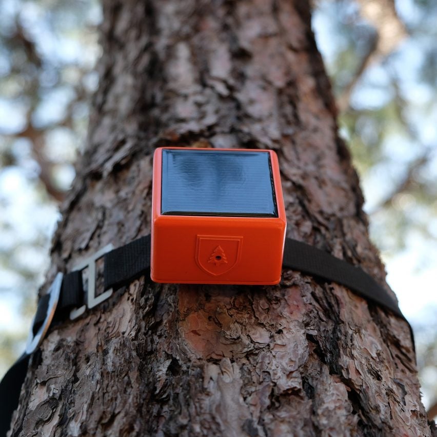 Photo of a ForestGuard device strapped to a tree