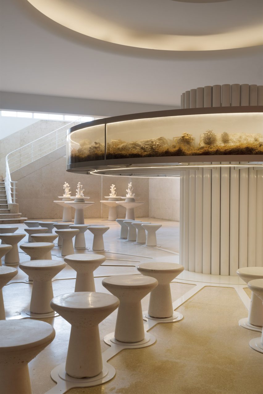 Ring-shaped fungi incubator above mushroom-like stools