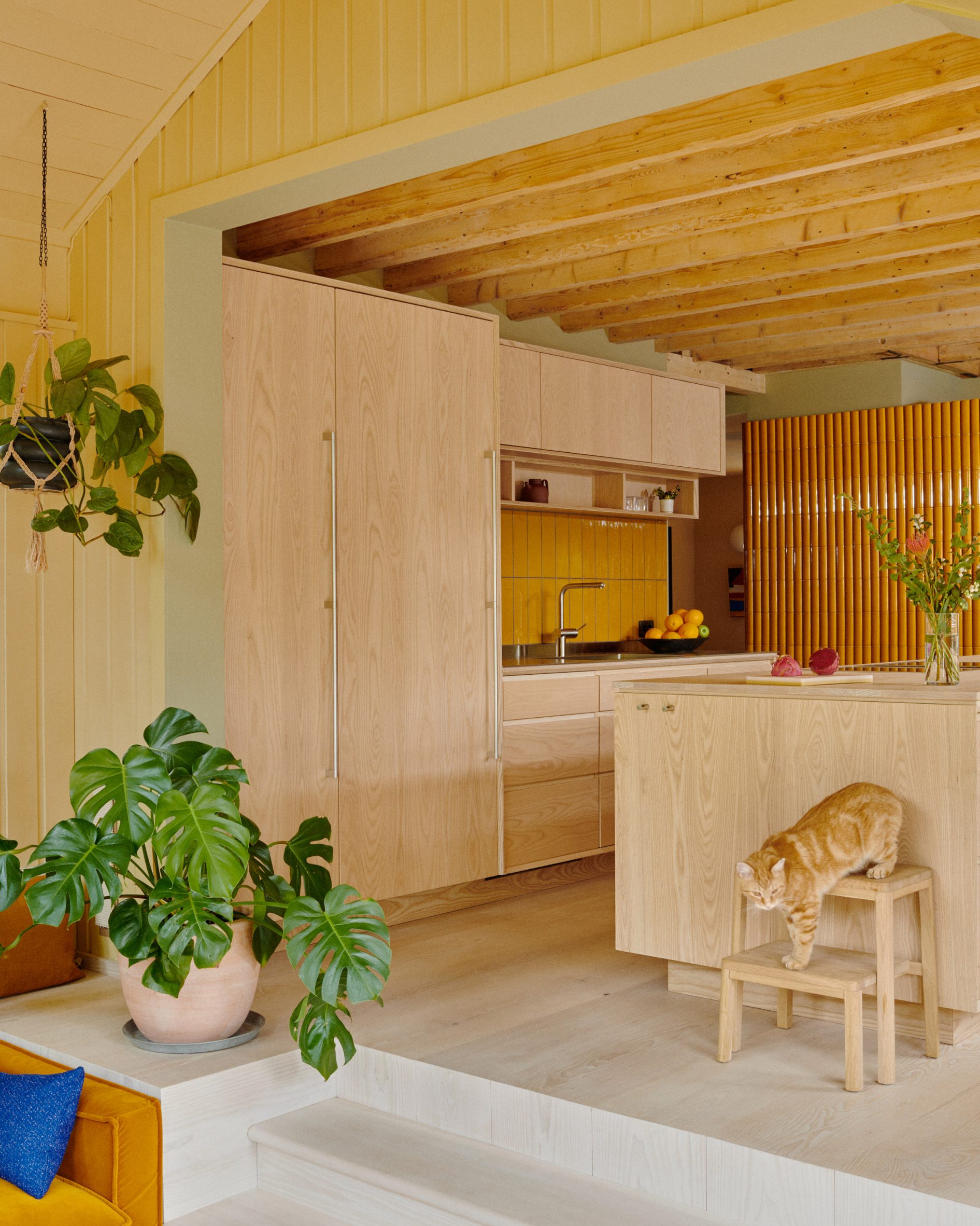 Kitchen with ask cabinets and yellow tile splashback and cat