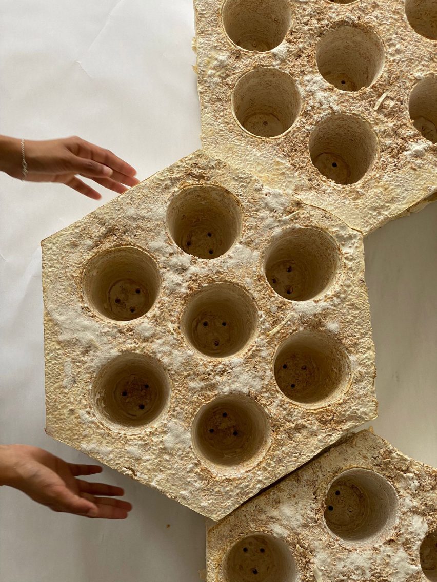 A hexagonal pod made of mycelium