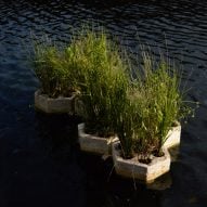 RISD researchers create floating mycelium pods to cleanse waterways