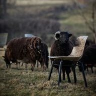 Solidwool creates fibreglass-like chair from sheep fleeces