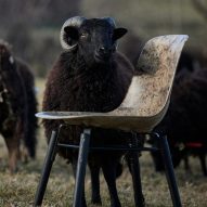 Dezeen Agenda features fibreglass-like chair made from sheep's wool