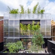 Hayhurst and Co designs low-energy London home as "domestic-scale greenhouse"