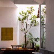 Interior space with planting at Tile House by The Bloom Architects