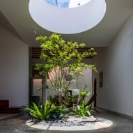 Living room with an oculus over a planted tree