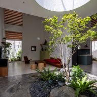 Planted tree below a circular skylight in a home