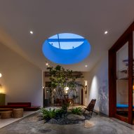 Living space with a circular skylight over a planted tree