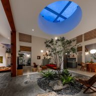 Internal living space with an oculus and planted tree