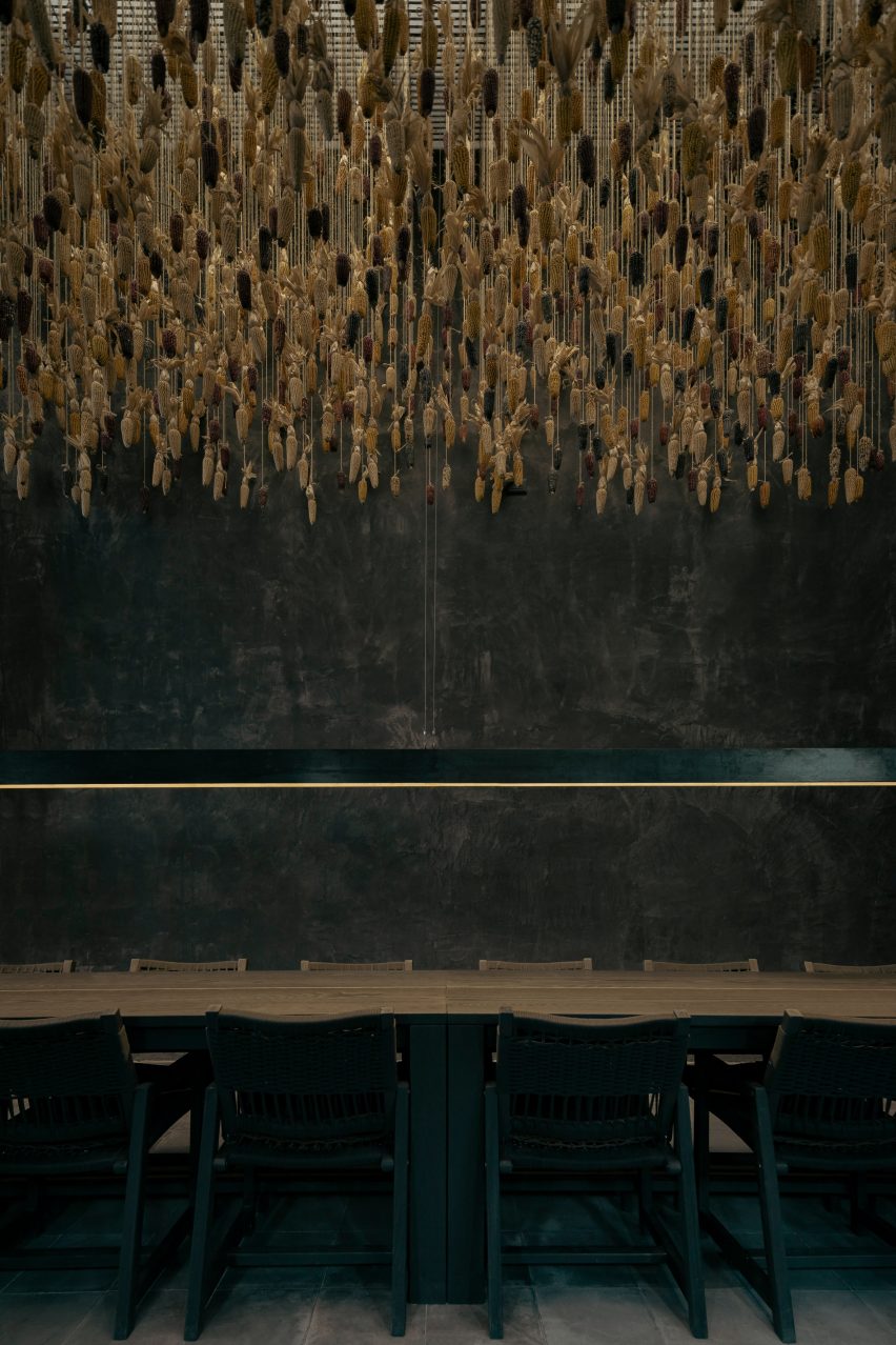Hundreds of corn cobs hanging above a dining table