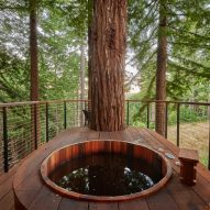 wood-fired hot tub in trees