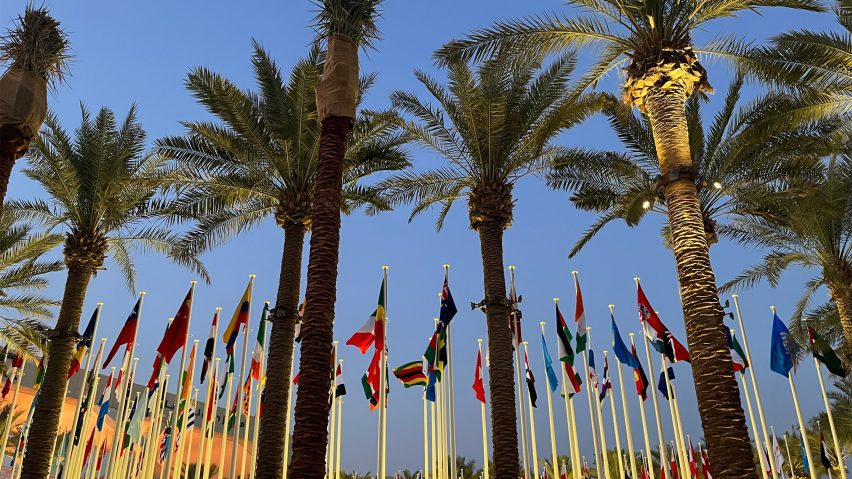 Flagpoles and palm trees at COP28 in Dubai