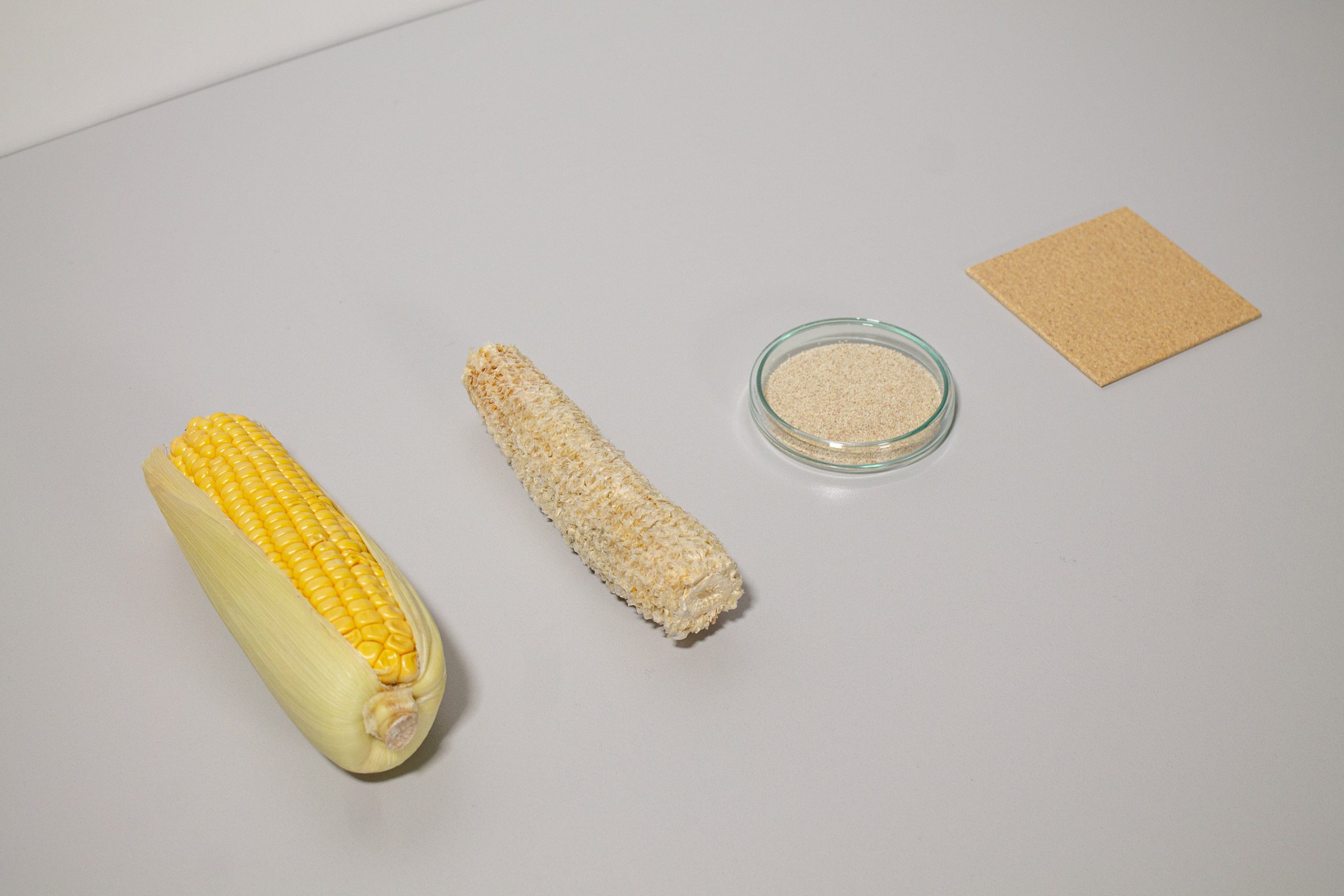 Photo of four objects in flatlay — a full corn cob on the left, followed by a bare corn cob, then a small tray of shredded biomass, then a CornWall tile