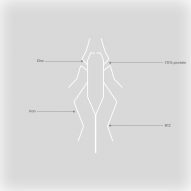 cricket protein diagram