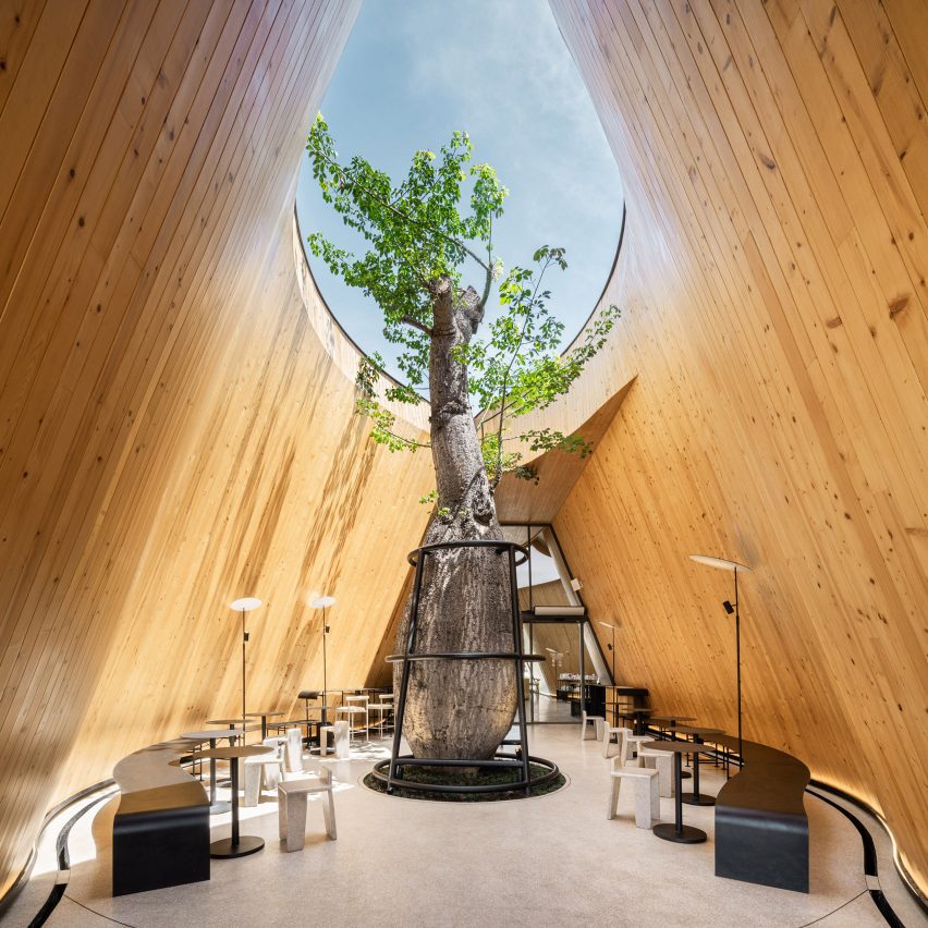 Tree growing through Harudot cafe by IDIN Architects