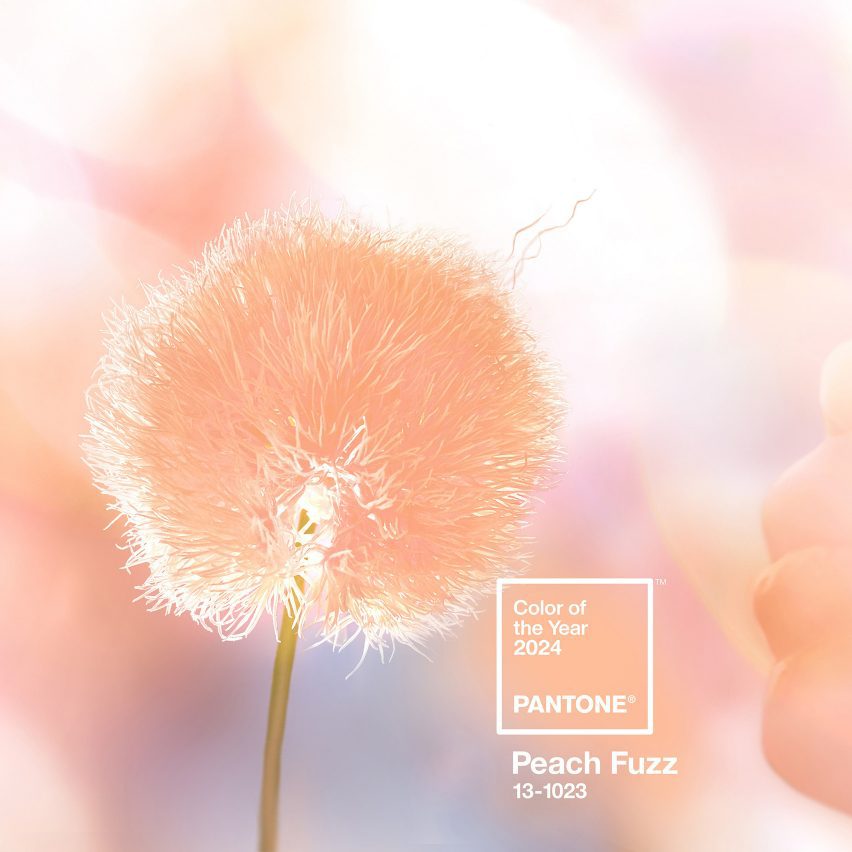 Pantone 2024 Colour of the Year Peach Fuzz