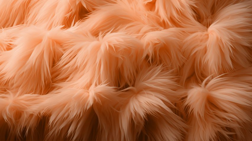 Close-up of fluffy peach objects