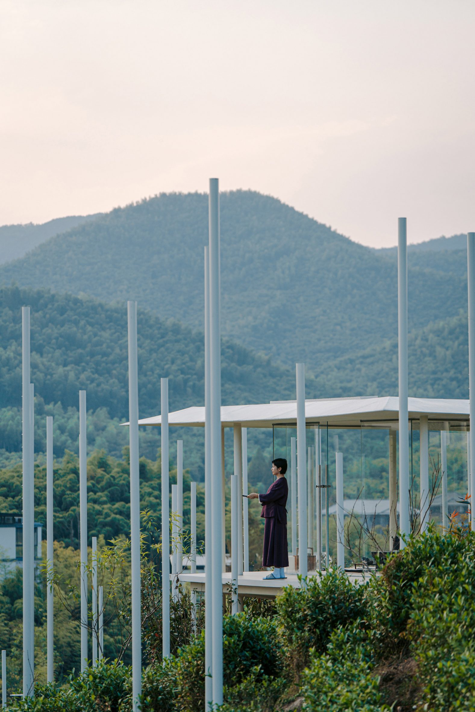 The pole field and glass enclosure of the Cloud Tea House by Plat Asia in China