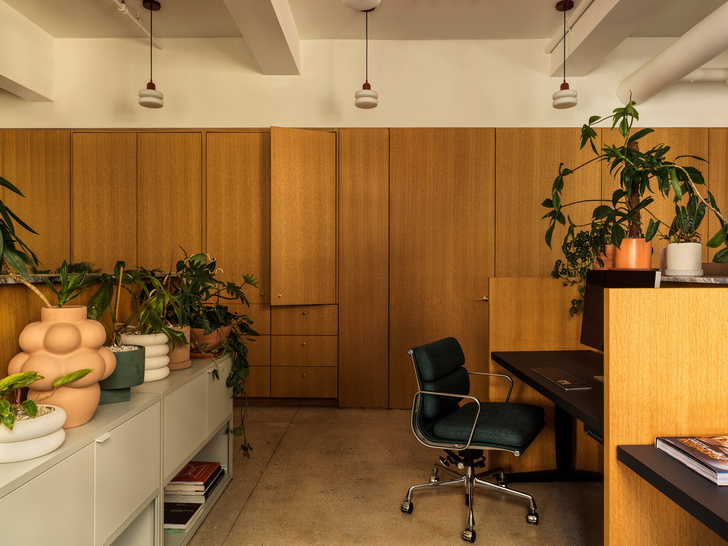 A communal workspace withsit-stand desks, oak dividers and plenty of ledges for plants