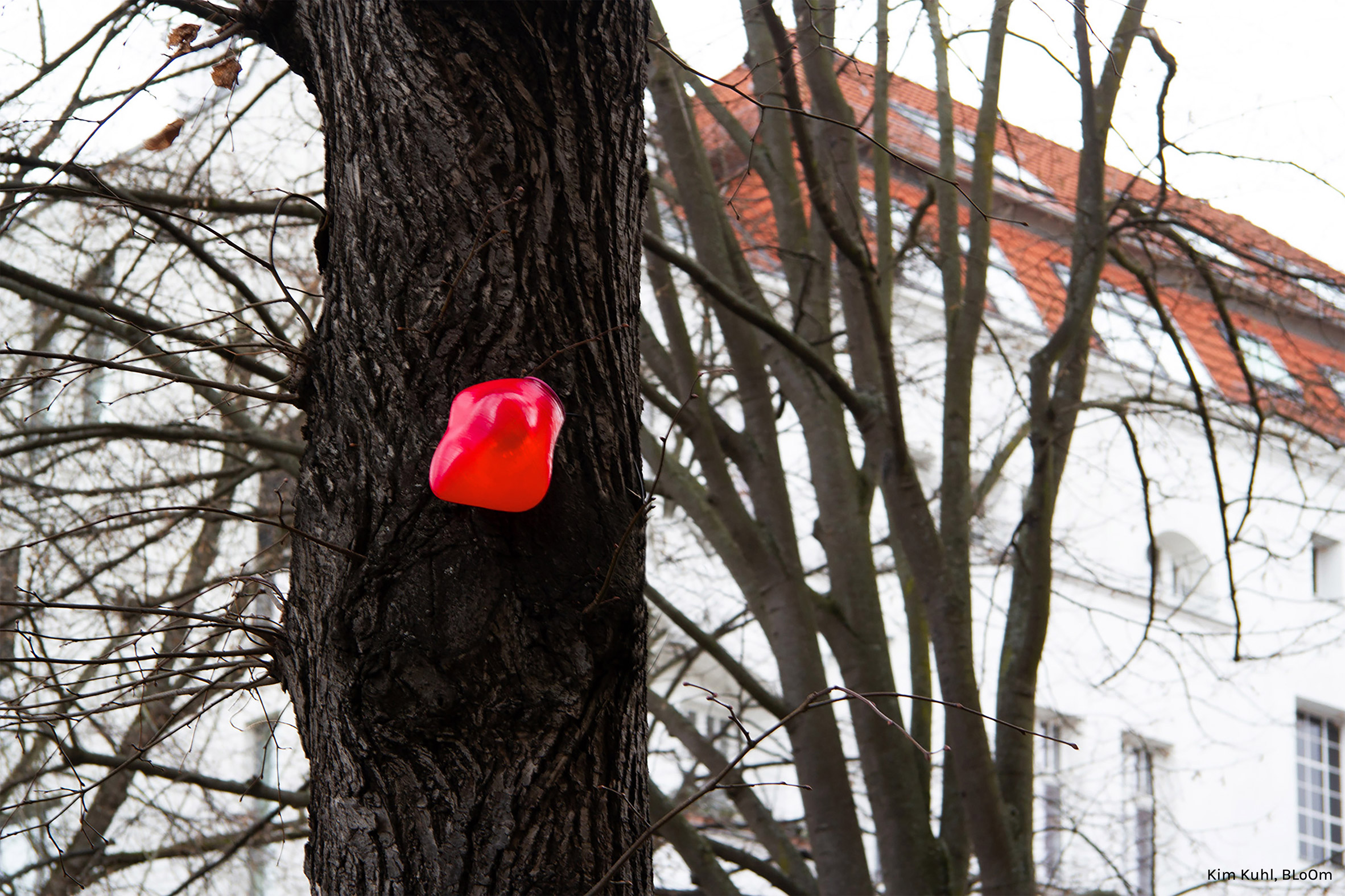 A heart-shaped sensor attached to a tree