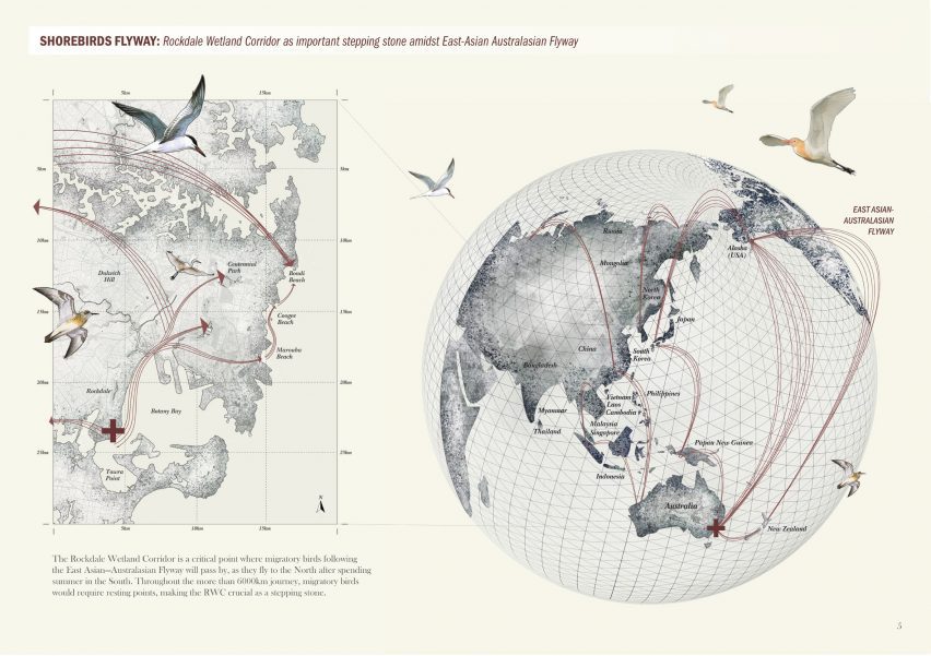 Diagrams showing various birds and their flight paths around the world