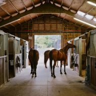 Horses stables in Surrey by DROO
