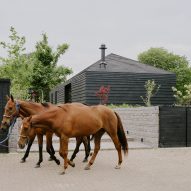 Horses outside a polo farm and stables in Surrey