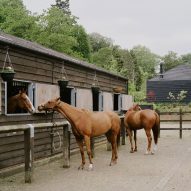 Horses at a polo field stable