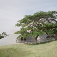Acacia tree in front of FR House in the Philippines by CAZA