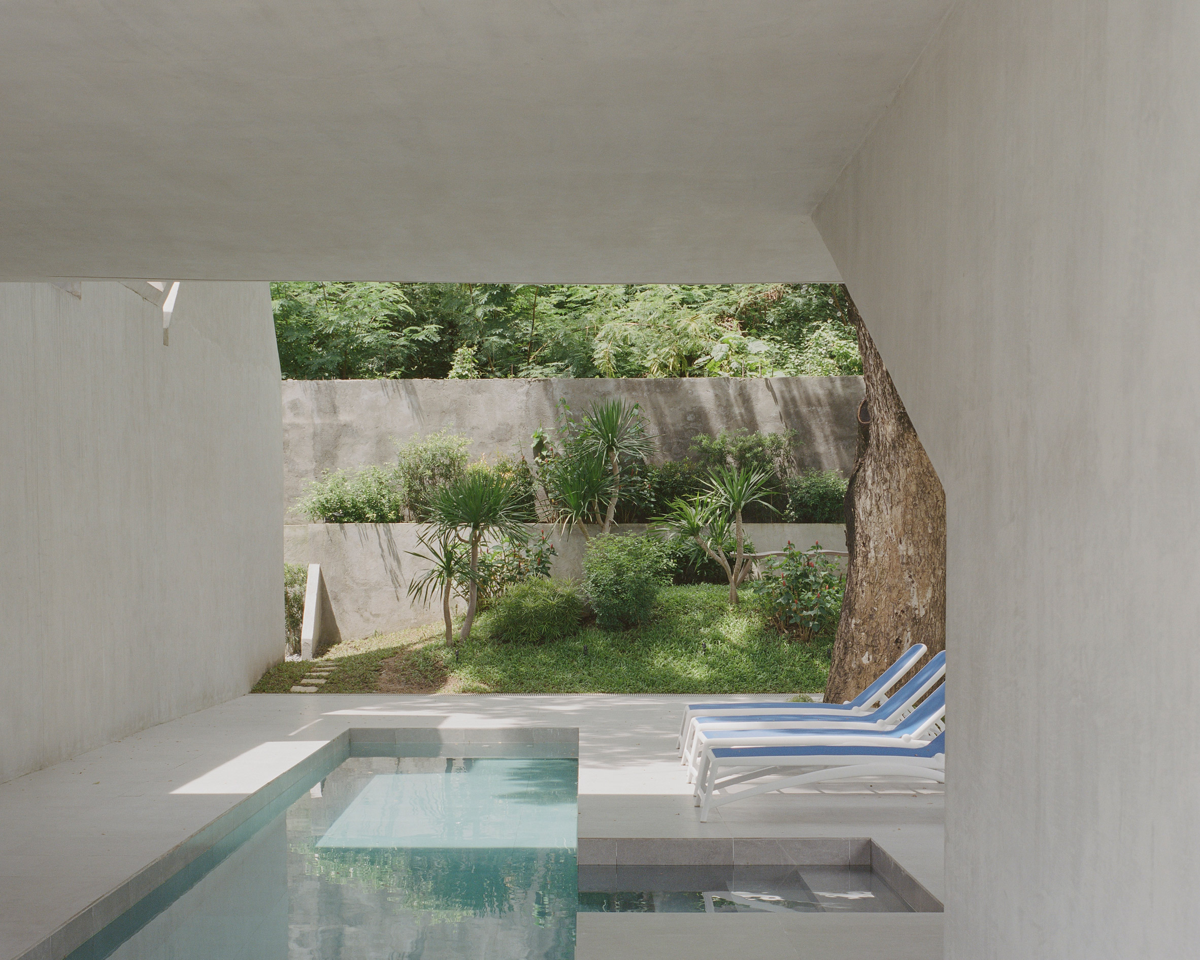 Swimming pool with gadren behind, at FR House in the Philippines by CAZA