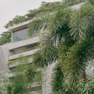 Greenery in front of FR House in the Philippines by CAZA