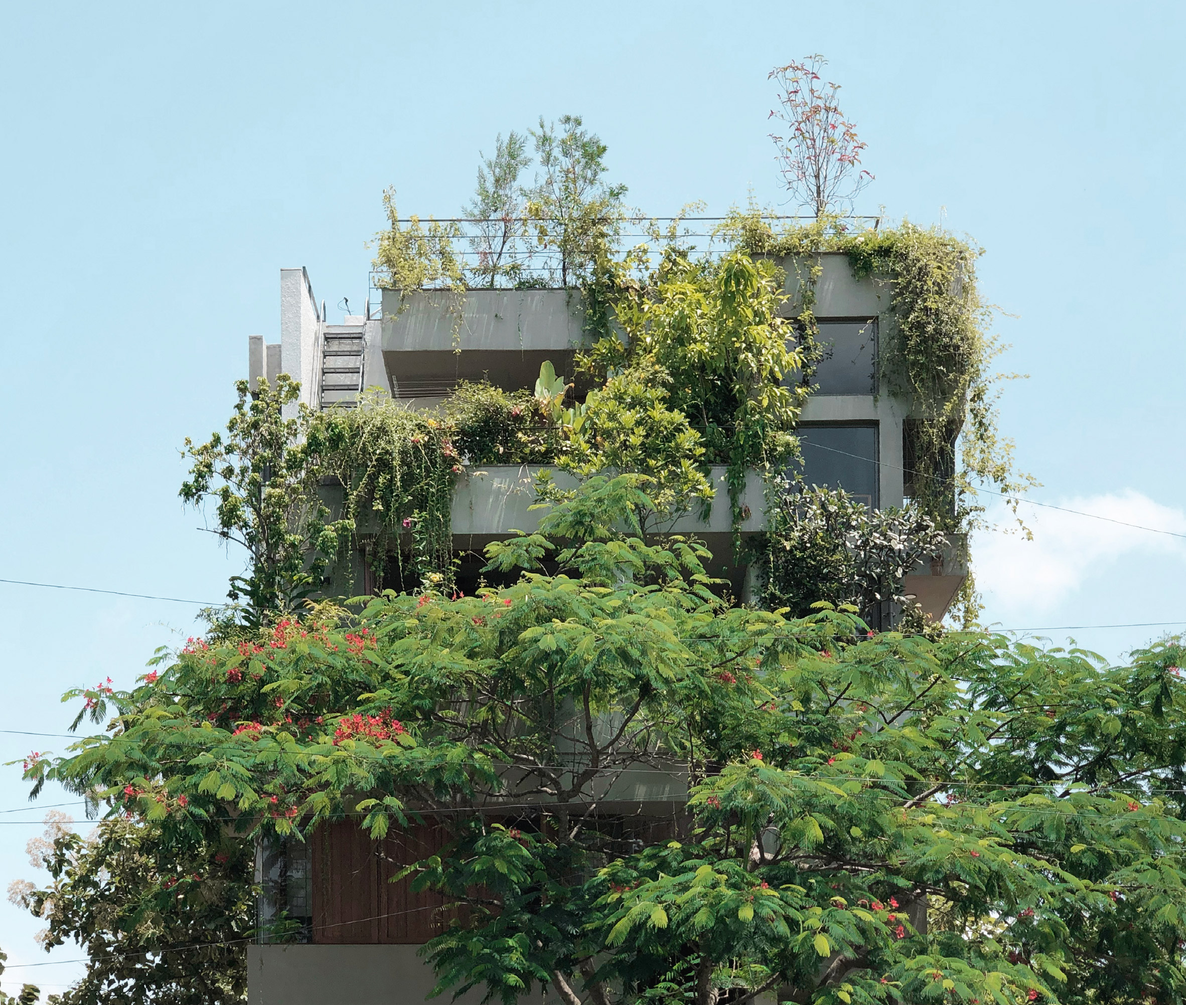 Exterior view of home in Bangalore, India by A Threshold