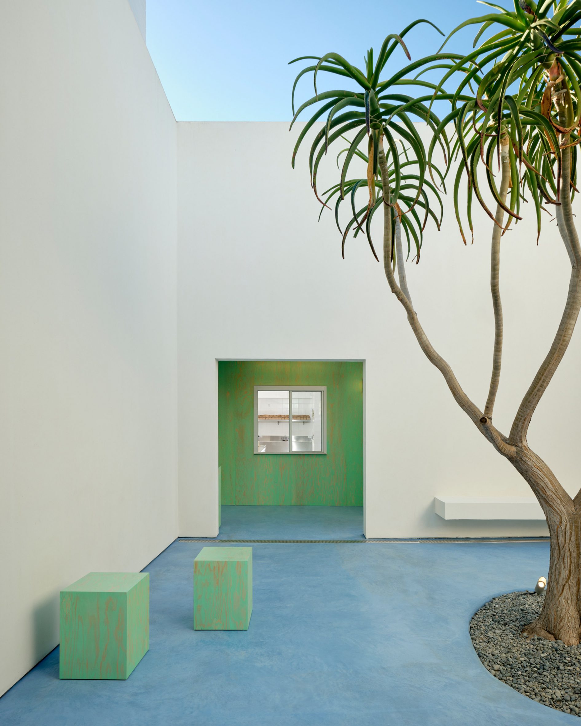 small light green stools and tree with blue floor