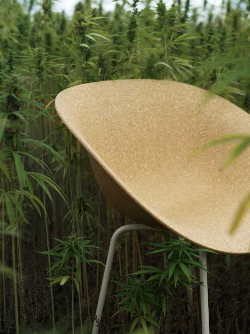 Mat chair by Foersom & Hiort-Lorenzen and Norman Copenhagen surrounded by hemp plants