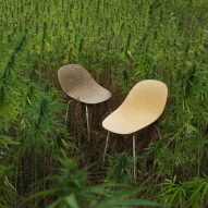 Mat chairs by Foersom & Hiort-Lorenzen and Norman Copenhagen surrounded by hemp plants