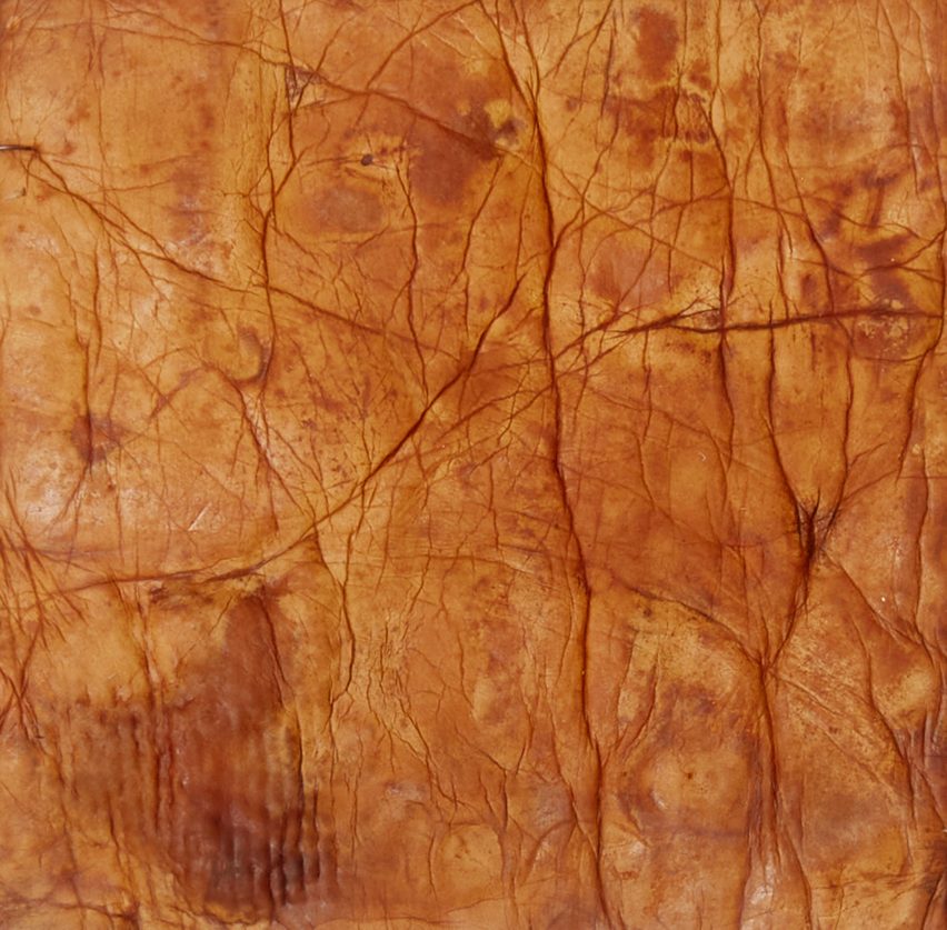 Close-up of vegan mycelium sheet showing its similarity to the texture of tanned leather