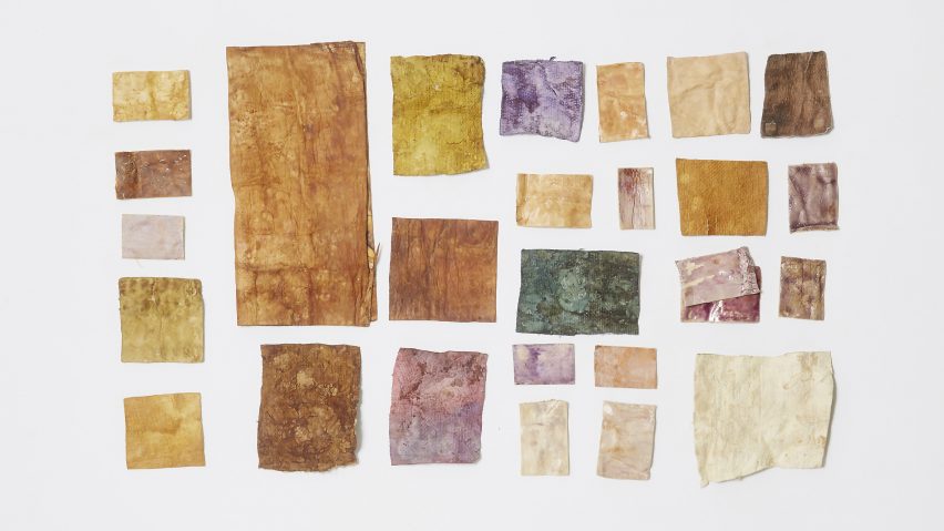 Photo of swatches of mycelium dyed in different deep colours