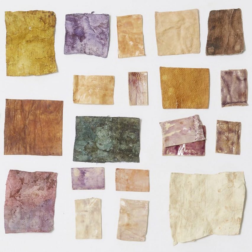 Photo of swatches of mycelium dyed in different deep colours