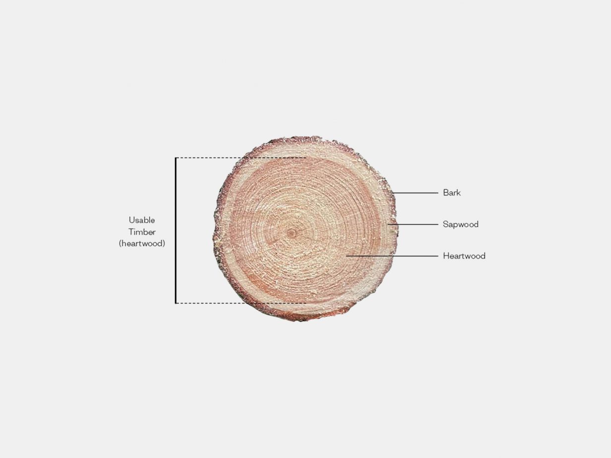 Studio Bark devises structural use for waste timber in English ...