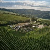 Twelve vivacious vineyards from Dezeen's Pinterest