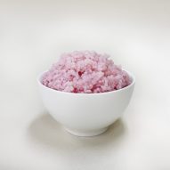 Scientists develop hybrid "beef rice" as future meat alternative