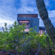 Concrete home surrounded by cacti
