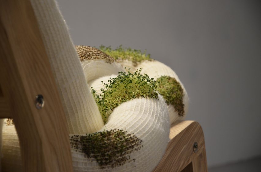 Chia-Chair for humans and plants by Alice Hultqvist, Emelie Sjöberg and Linnea Nilsson